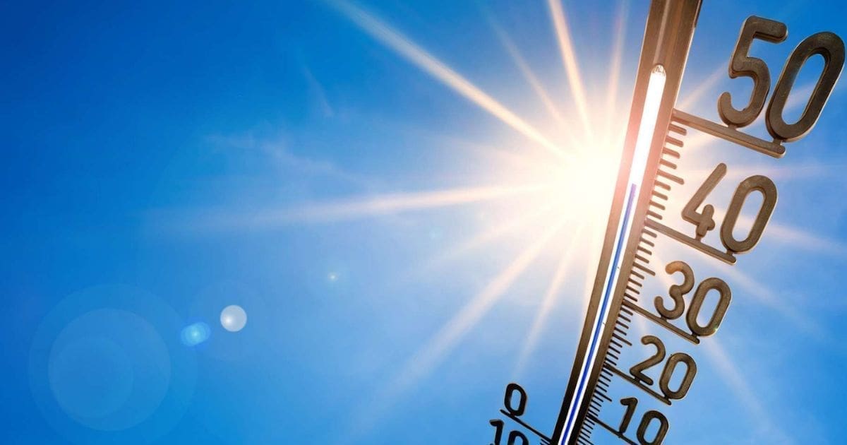 Météo en Algérie : 17 wilayas frappées par une vague de chaleur ce mardi 22 juillet