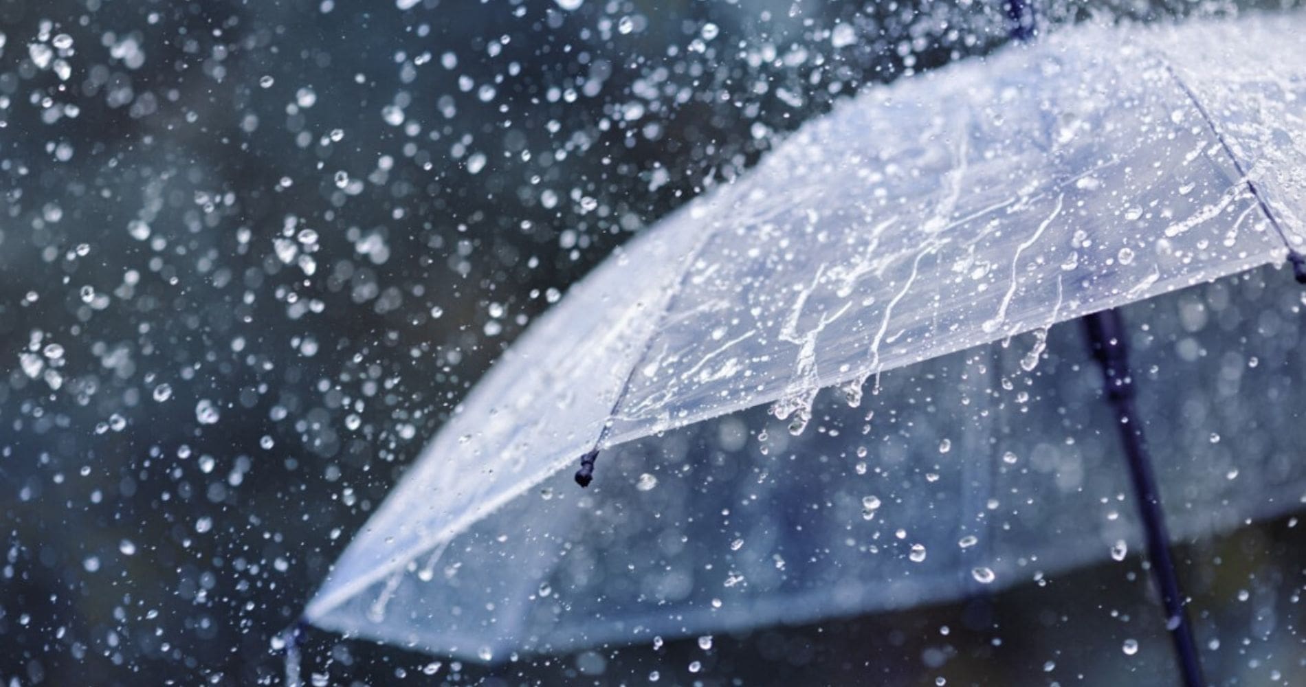 BMS – Météo Algérie : vigilance « orange » pour pluies dans plusieurs wilayas ce jeudi 3 juillet