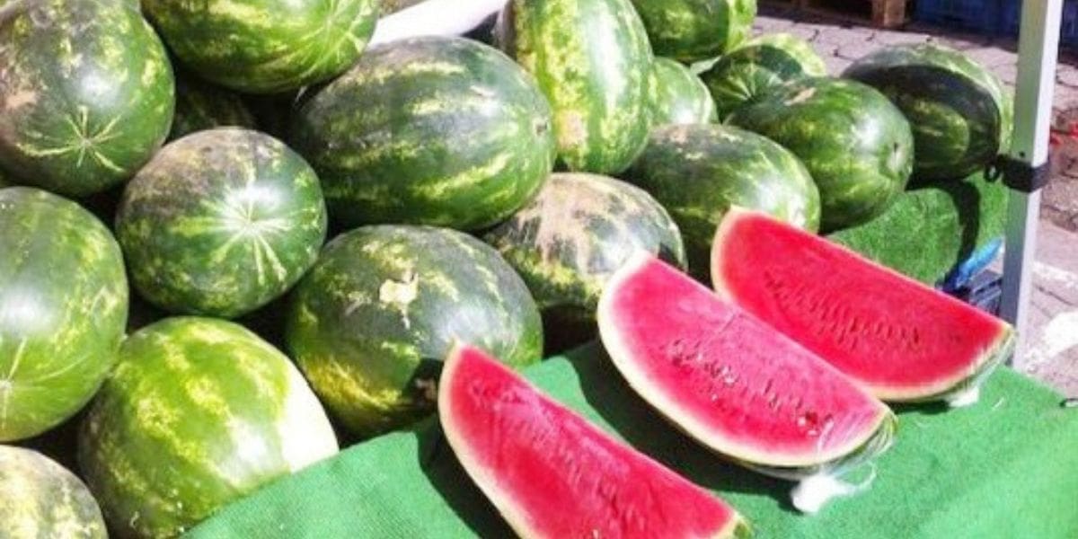 La découpe de la pastèque interdite sur les étals dans cette wilaya