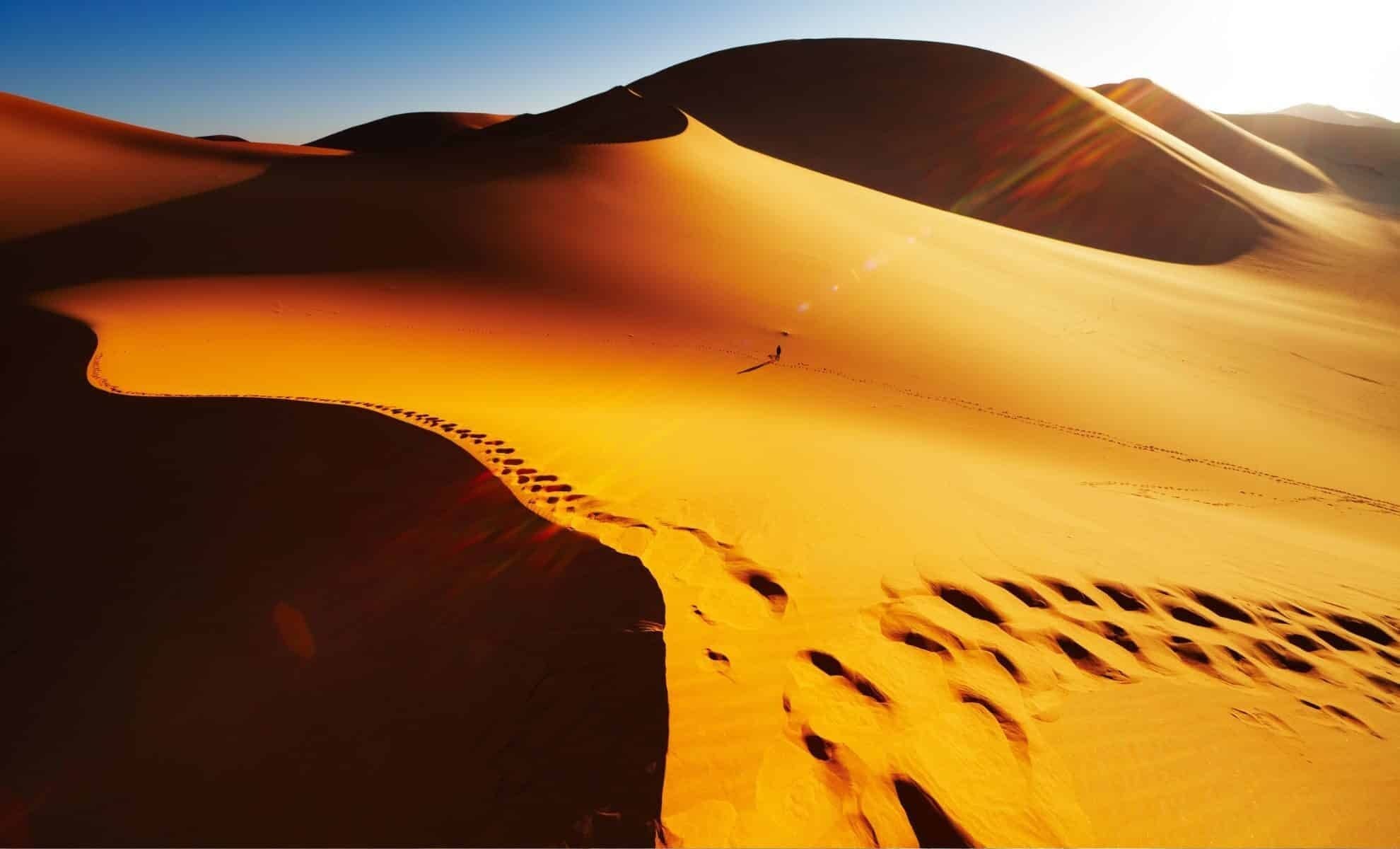 L’Algérie accélère la digitalisation du tourisme : objectif 4 millions de visiteurs d’ici fin 2025