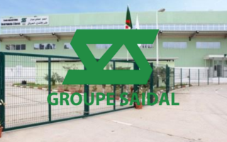 Groupe Saïdal : le professeur Belkhelfa Mourad nommé directeur général par intérim