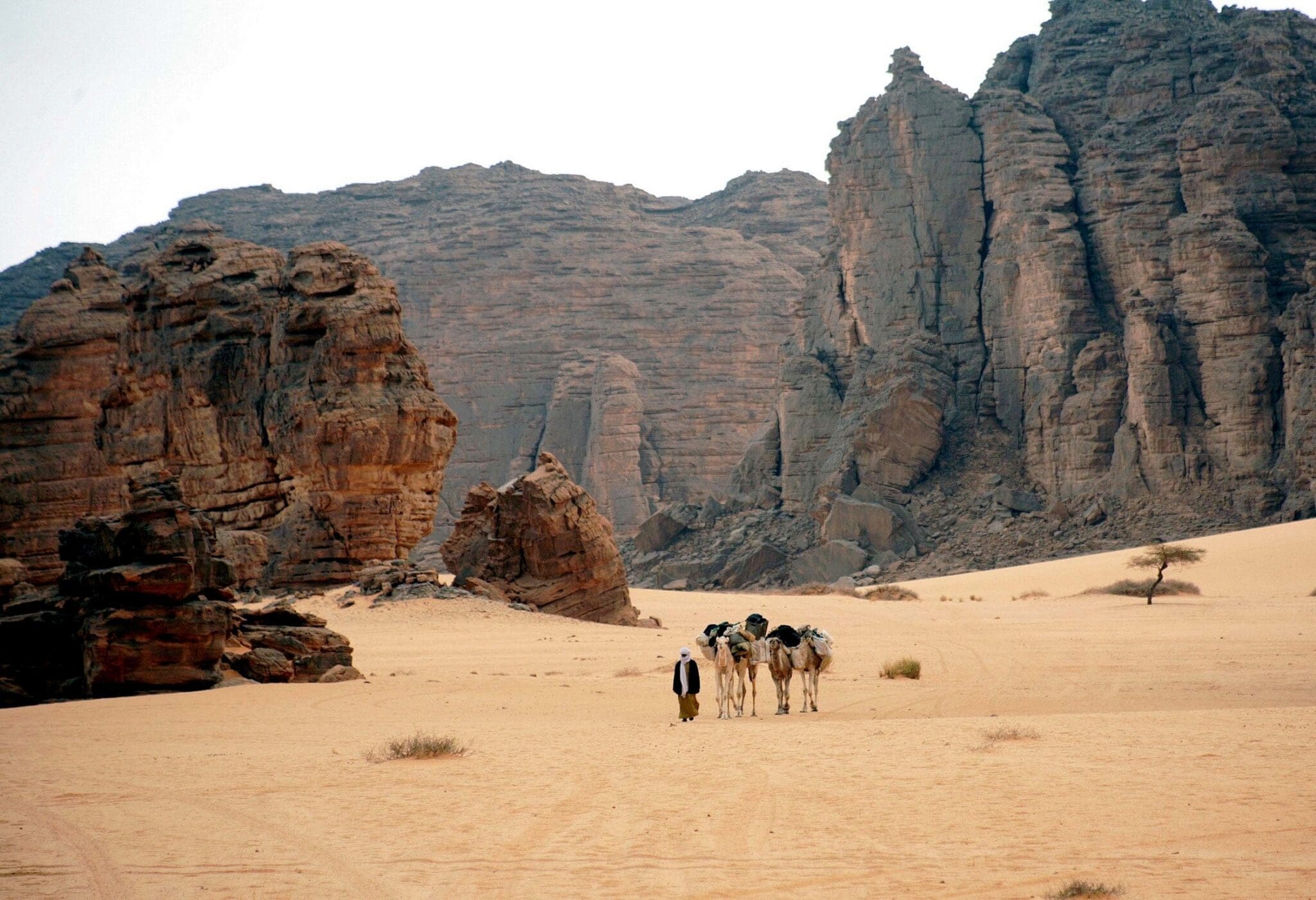 Ils voulaient emporter les trésors de l’Algérie dans leurs valises: un trafic vers la France déjoué