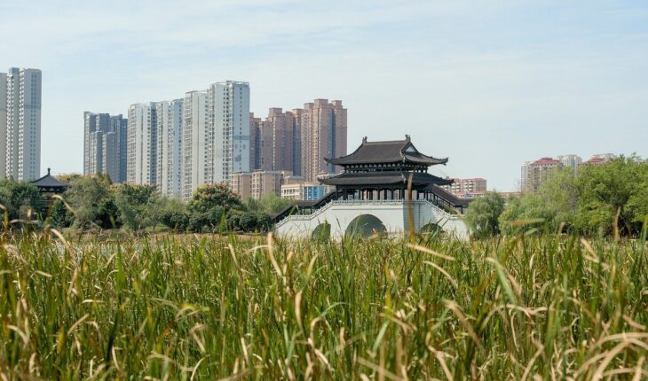 asia, china, xiangtan, landscape, scenic, horizon, city, urban, building, architecture, cityscape, outdoors, park, nature, garden, bridge, lake, grass, leaves, green, contrast, skyscraper, historical, old, story