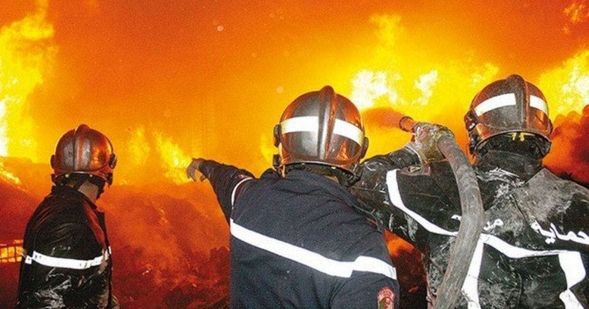 Feux de forêts en Algérie : la « prison à vie » pour les fautifs en 2025