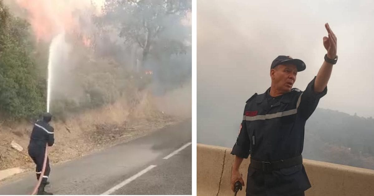 Chréa en flammes : la Protection civile en alerte maximale, la population appelée à s’éloigner