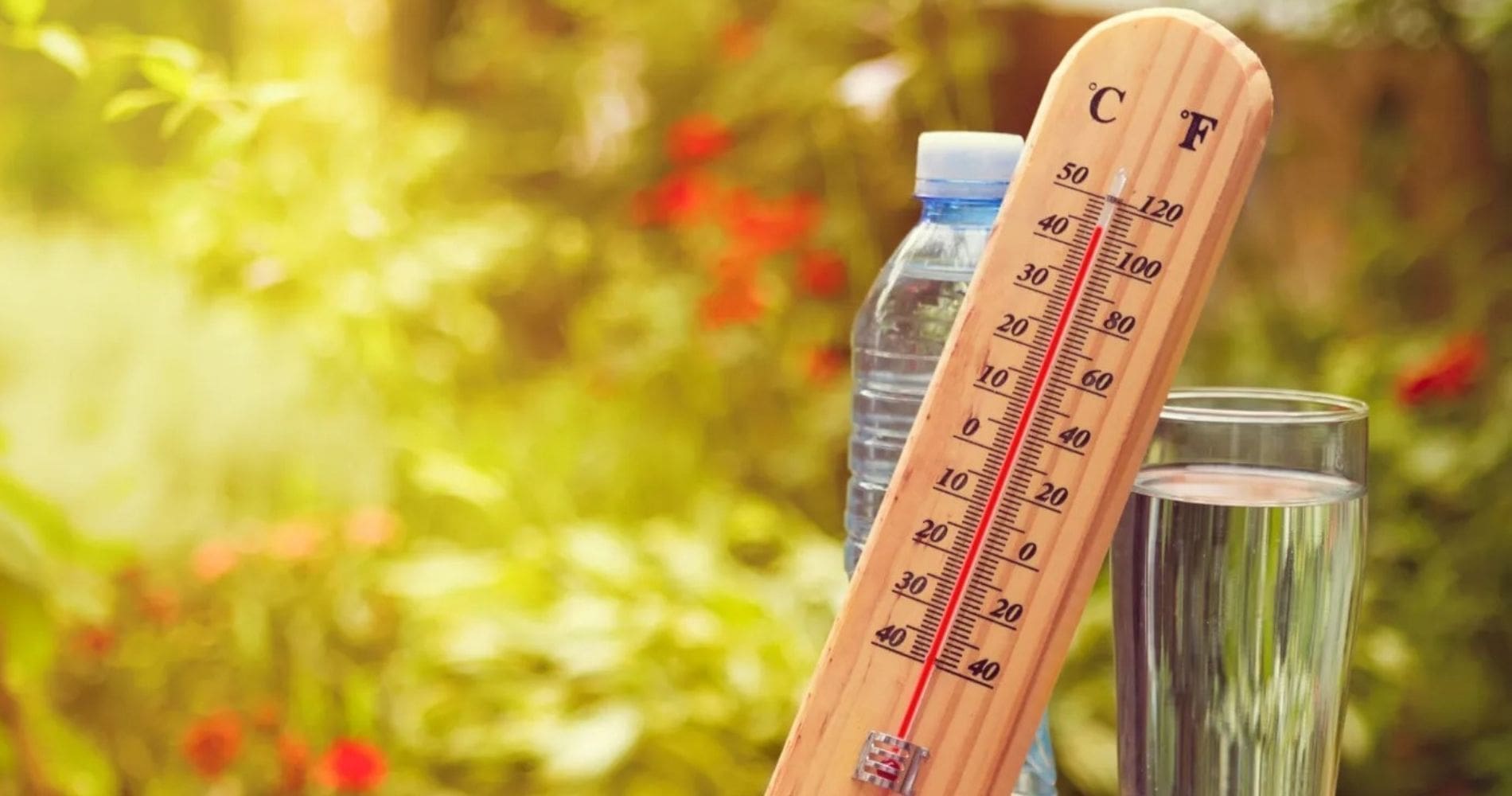 Météo Algérie : chaleur intense, orages et vents forts annoncés pour ce dimanche 10 août