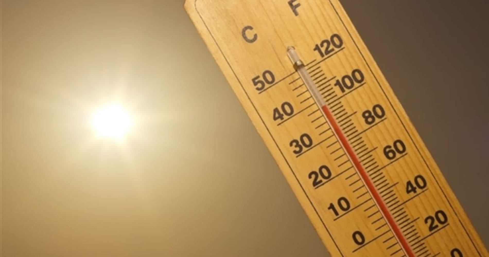 Forte canicule en Algérie : des températures exceptionnellement élevées annoncées ce mardi 19 août