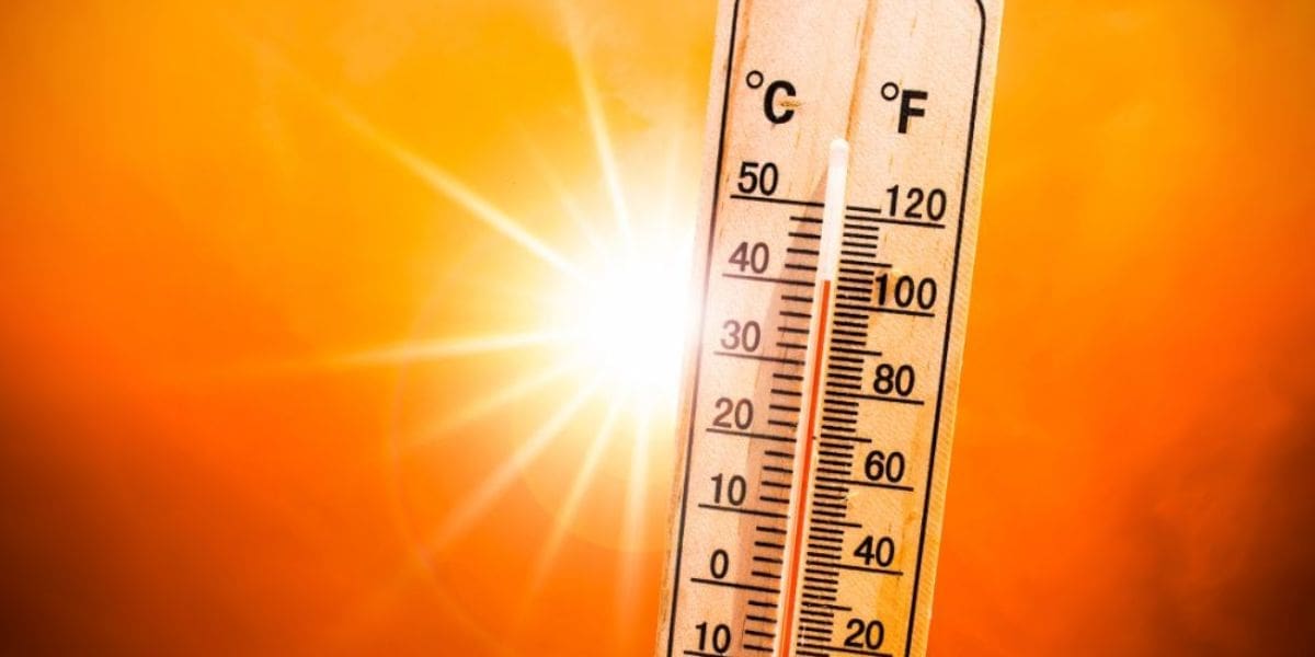 Alerte à la canicule pour ces deux wilayas demain dimanche