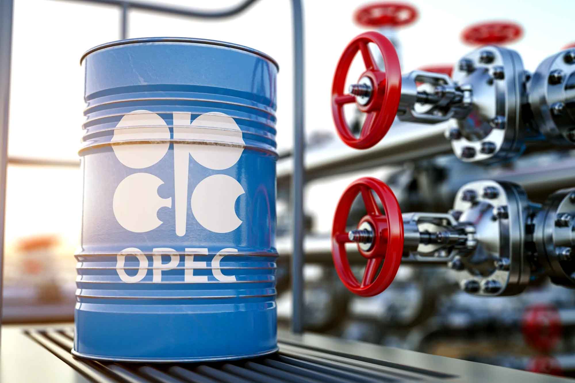Hausse de production de pétrole dès octobre 2025 : la stratégie de l’Algérie à l’Opep+ se précise
