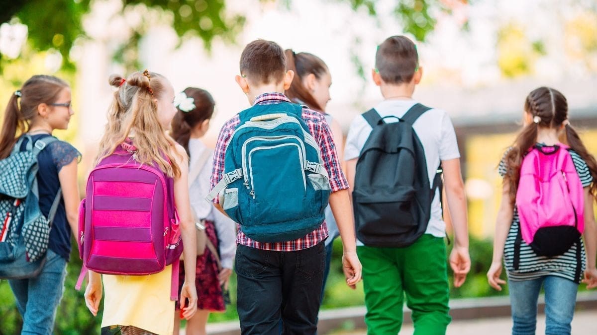 2 matières retirées, sport et arts privilégiés… changements annoncés pour la 3ᵉ année primaire
