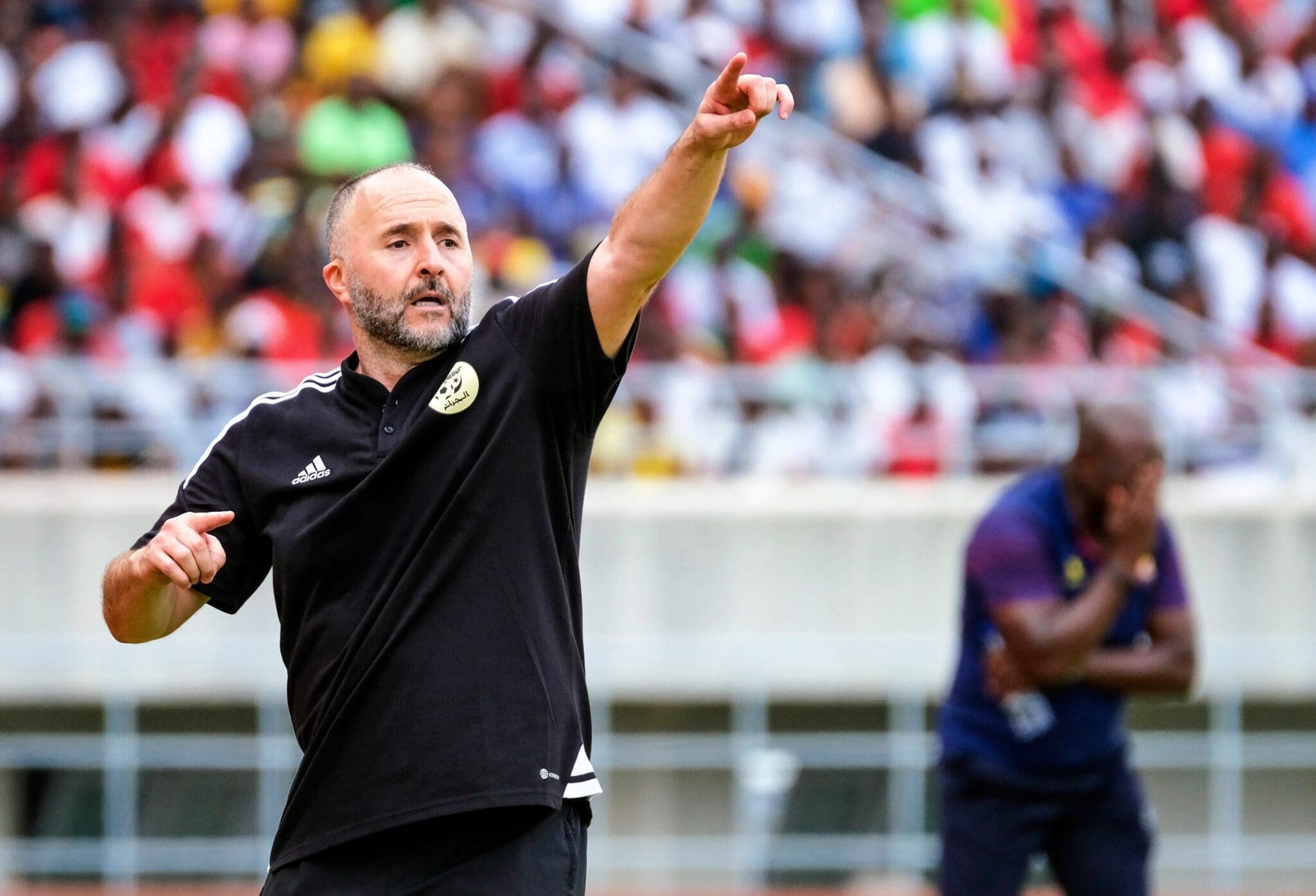 20 mois après son départ, Belmadi parle de l’équipe d’Algérie (vidéo)