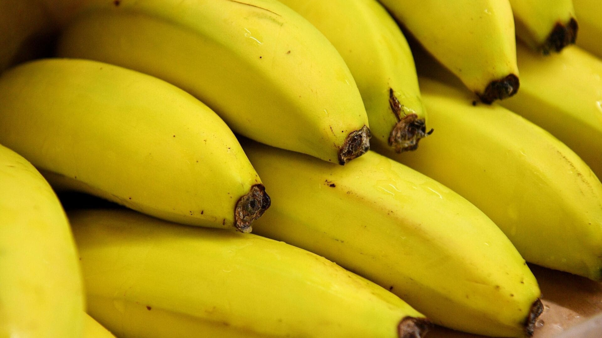 Deux spéculateurs sur la banane lourdement condamnés à Oran