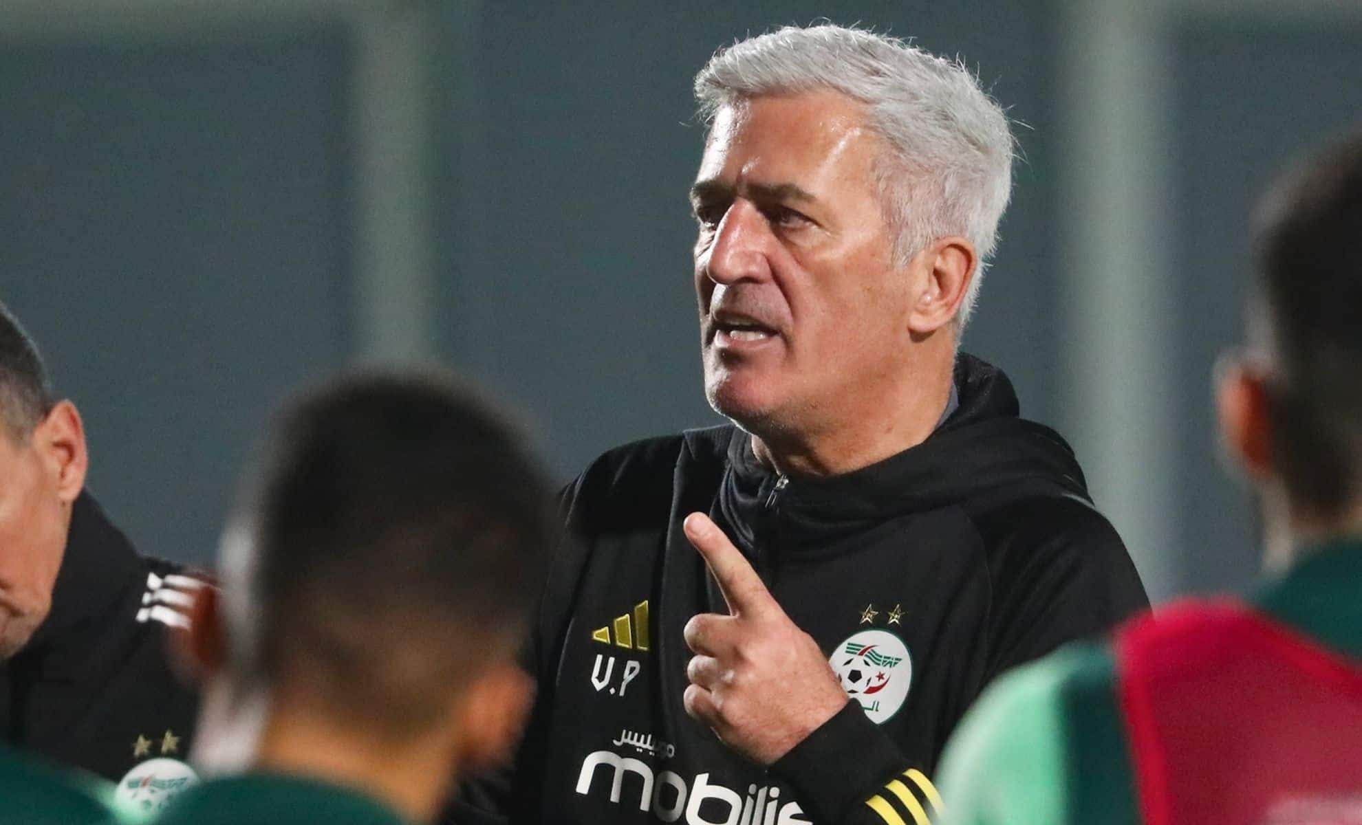 Equipe d’Algérie : Les nouveautés de Petkovic pour le prochain stage