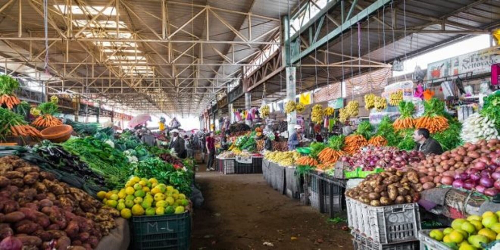 Prix et disponibilité des produits : un outil numérique pour anticiper les fluctuations