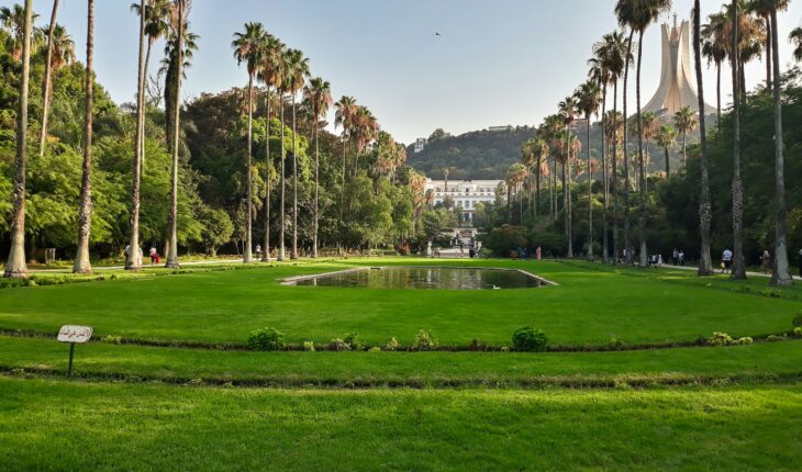 Alger parmi les meilleures destinations africaines pour les nomades numériques.