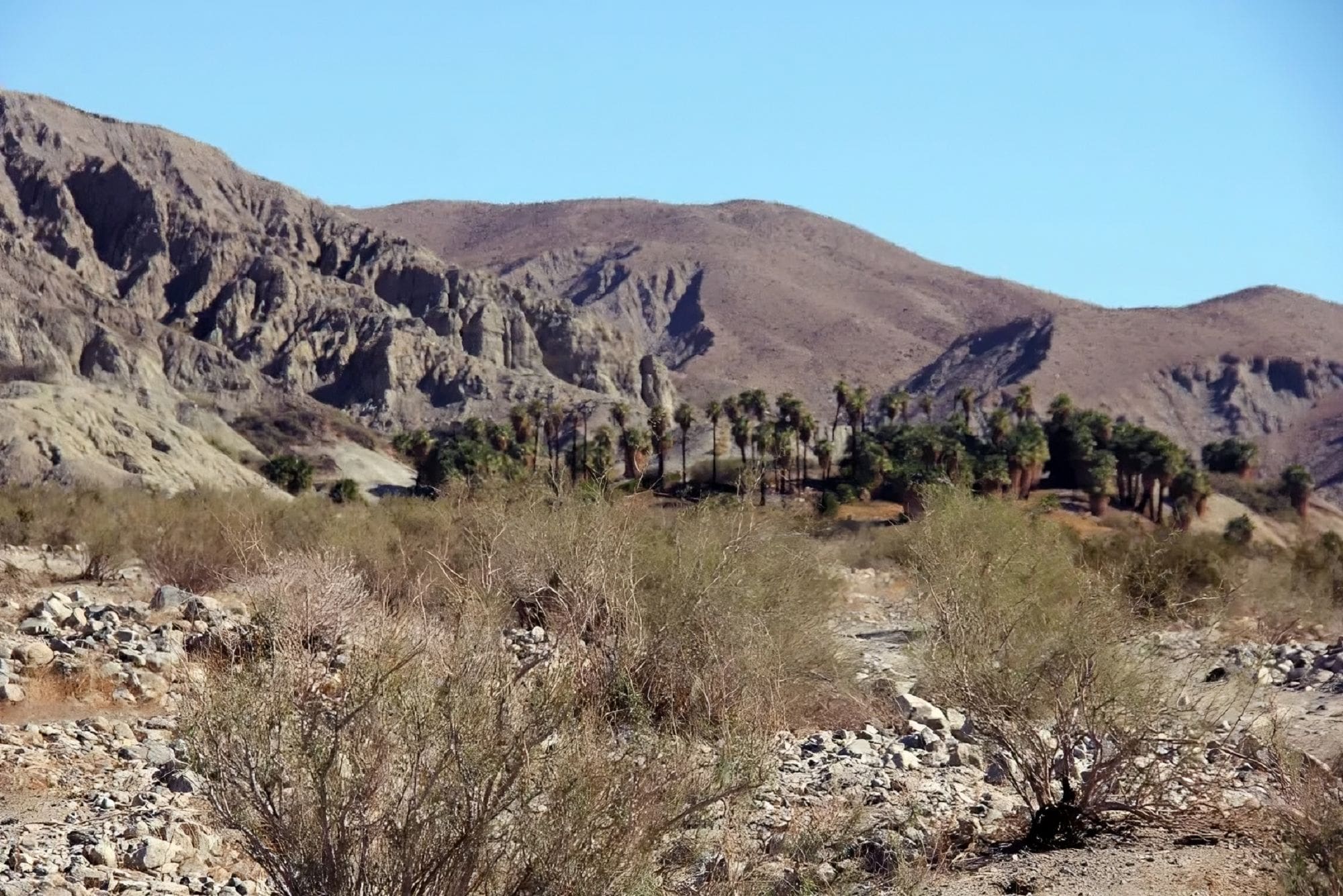 La Californie voulait sa Biskra : le rêve inachevé d’une oasis saharienne