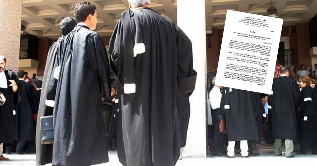 Devenus « stars » des plateaux de télé : l’Ordre des avocats prend une décision lourde de conséquences
