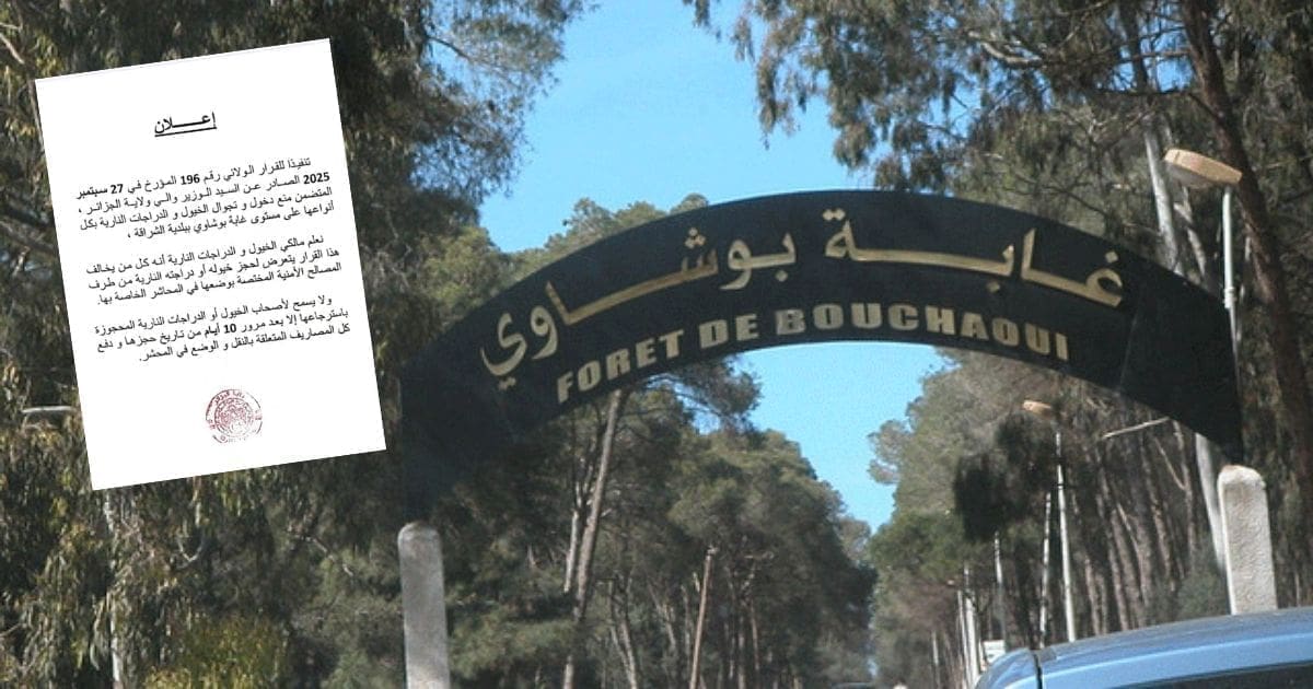 Forêt de Bouchaoui : ce type de véhicule désormais interdits d’accès