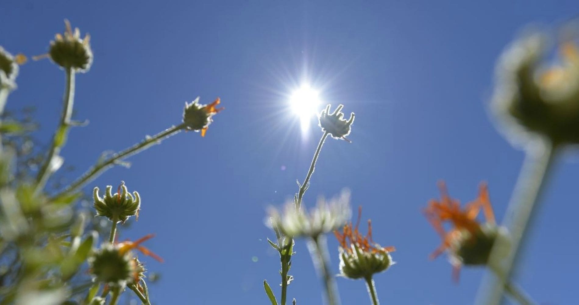 Temps calme ou pluies orageuses ? Voici la météo du mardi 7 octobre en Algérie !