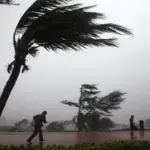 Intempéries : activation du plan préventif et interventions d’urgence dans plusieurs wilayas