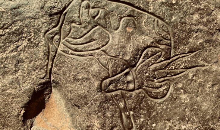 CNN Travel recommande aux voyageurs en quête d'authenticité de visiter le Tassili n'Ajjer.