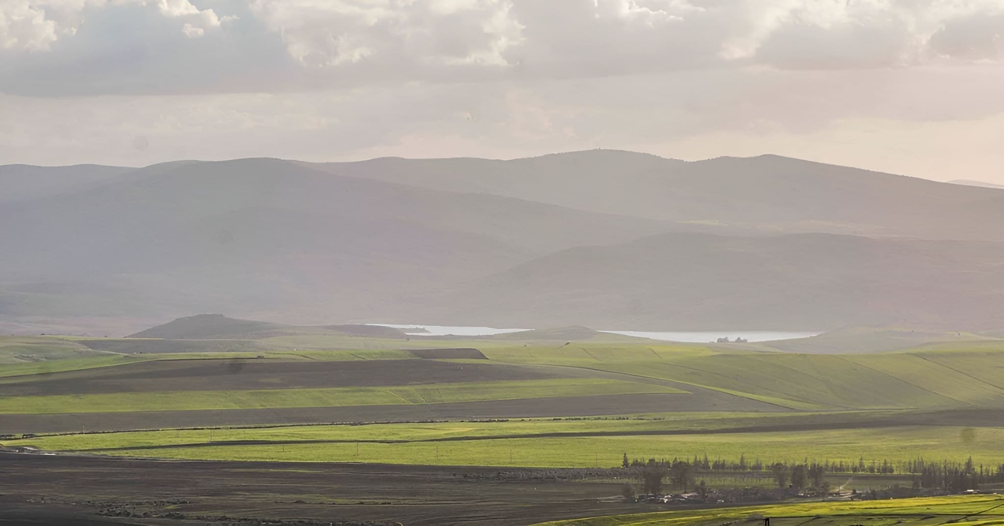 PHOTOS. Après des années d’absence, cet animal emblématique refait surface à Tiaret