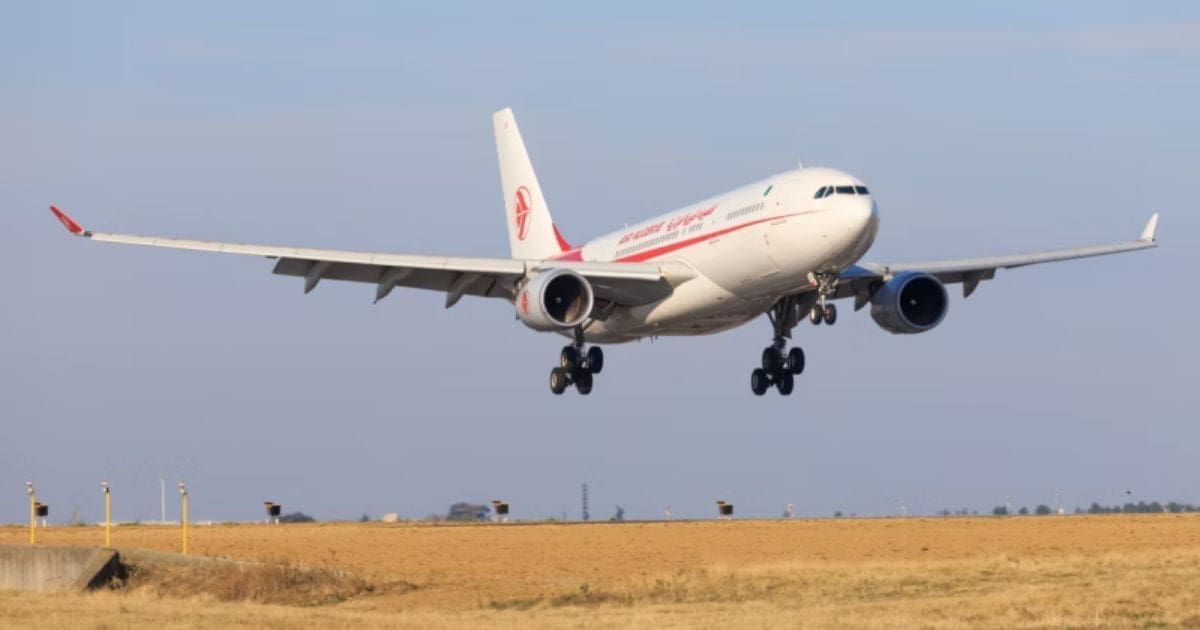 Modernisation d’Air Algérie : 10 nouveaux Boeing 737 MAX 8 rejoignent la flotte dès 2026