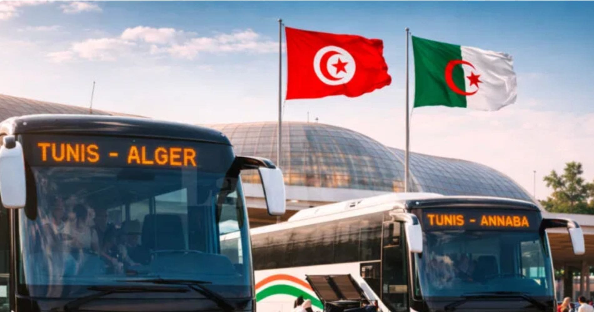 Nouvelles lignes de bus Algérie‑Tunisie : combien coûtent les trajets ?