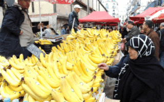 Spéculation sur les bananes : plus de 10 tonnes saisies à Souk Ahras, 2 suspects arrêtées