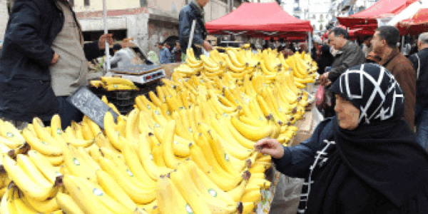 Spéculation sur les bananes : plus de 10 tonnes saisies à Souk Ahras, 2 suspects arrêtées
