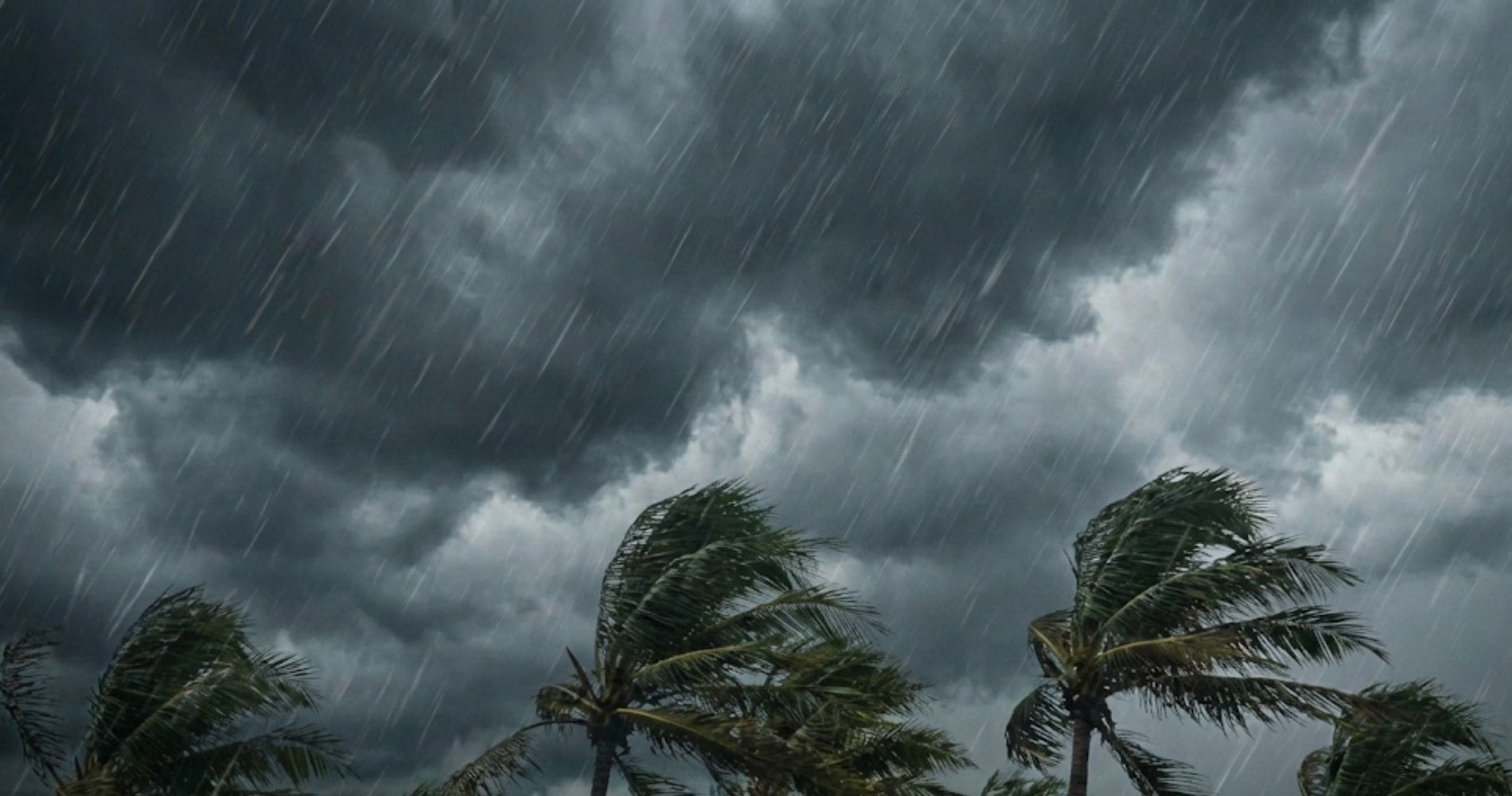 Alerte météo en Algérie : pluies orageuses et vents violents ce 28 mars, plusieurs wilayas en alerte