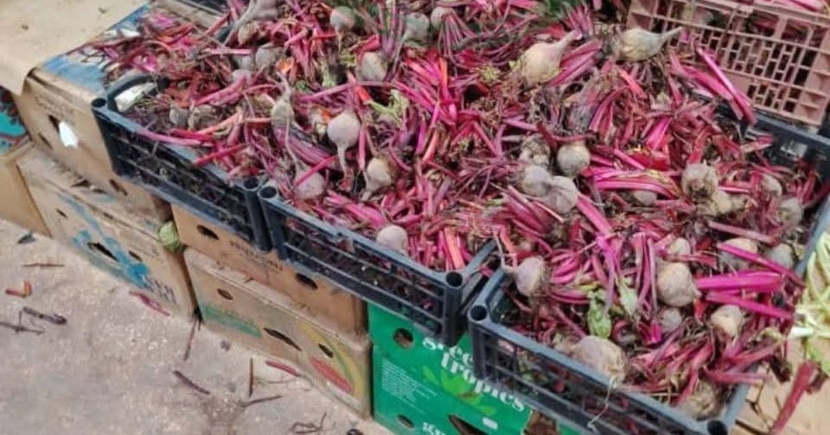 Vente des fruits et légumes : Le nettoyage obligatoire entre « officiellement » en vigueur (JO)