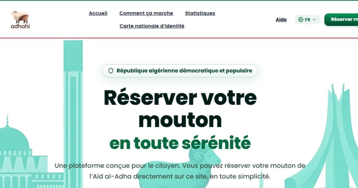 Vente des moutons importés en ligne : Voici comment s’inscrire sur la plateforme Adhahi.dz (ministère)