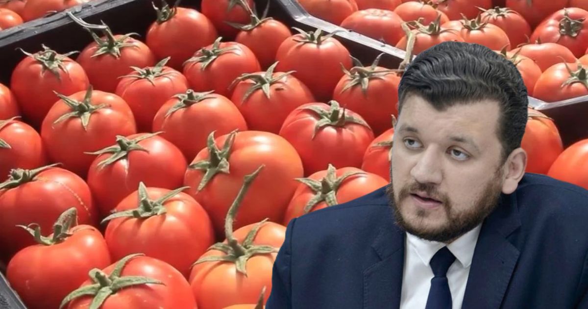 Elle a dépassé les 280 DA/kg… Voici le plan de l’État pour faire chuter le prix de la tomate