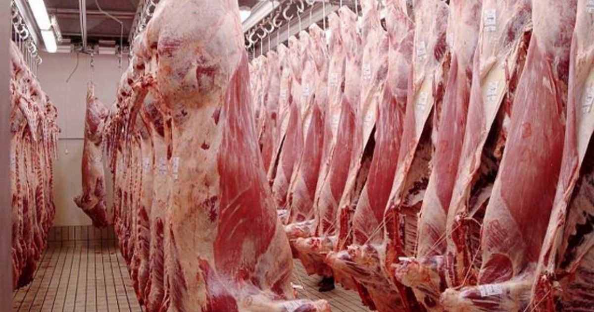 Viandes rouges : Le plan de l’État pour briser les prix et garantir la disponibilité avant Aïd al-Adha