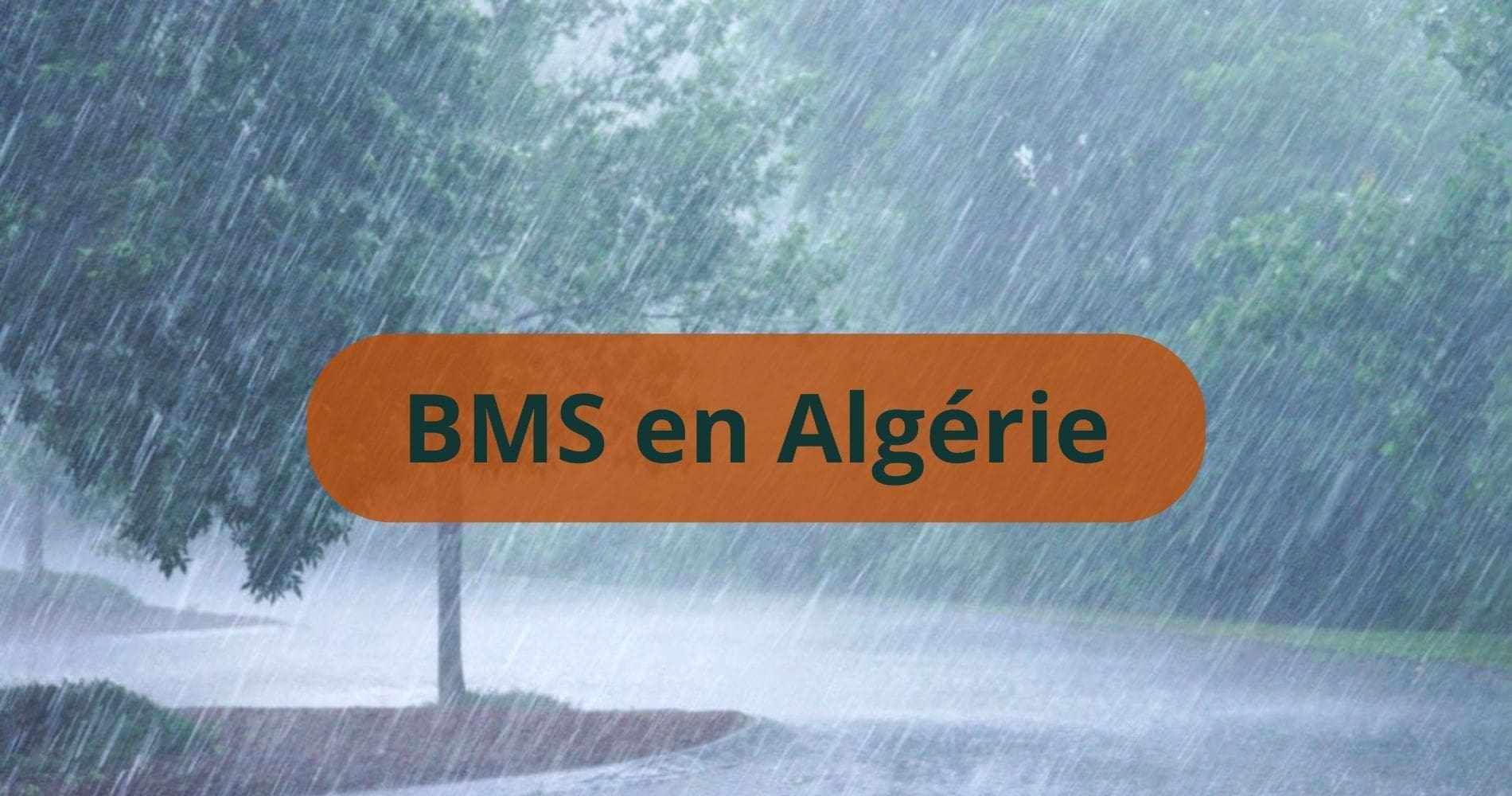 Jusqu’à 60 mm de pluie et vents à 100 km/h : ces wilayas en vigilance ORANGE ce samedi 11 avril
