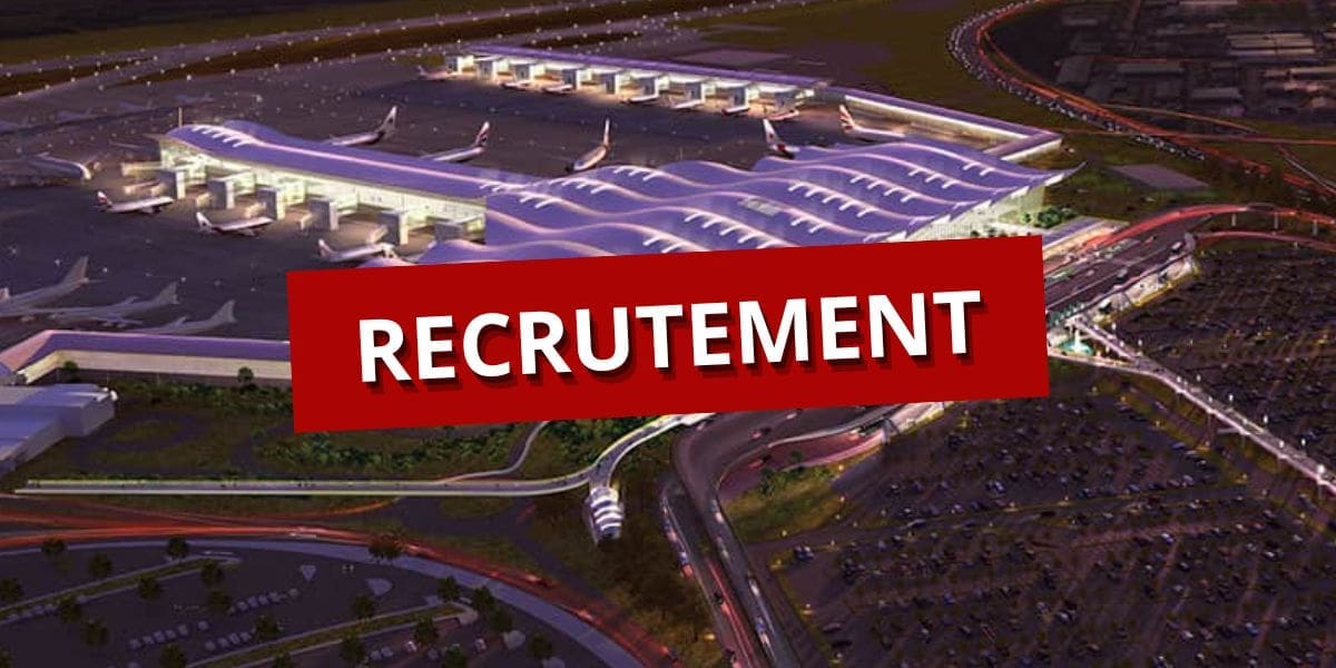 Recrutement à l’aéroport d’Alger : plusieurs postes à pourvoir dans ce domaine
