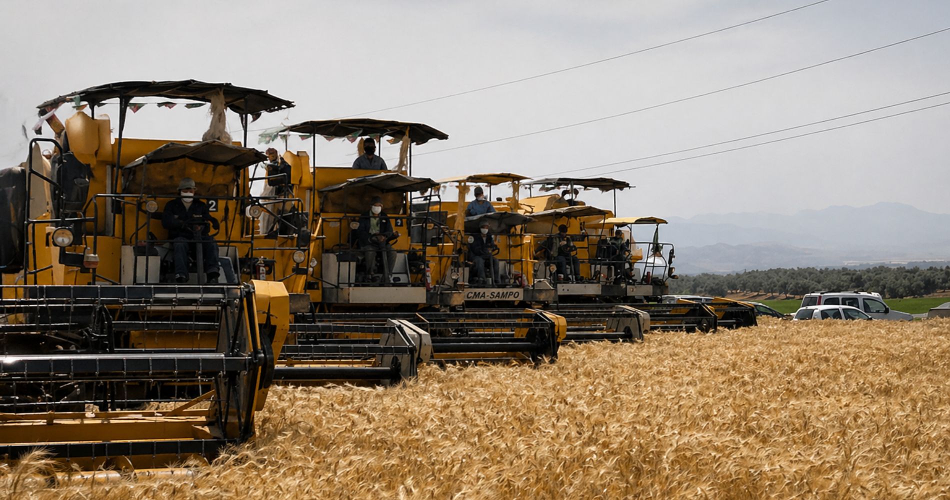 Moisson 2025 – 2026 : AgroDrive déploie un dispositif massif pour soutenir les agriculteurs algériens