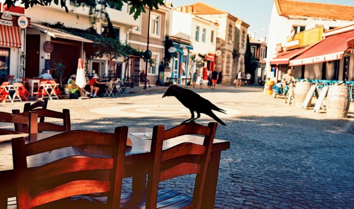 Bozcaada, en Turquie, parmi les villes blanches à visiter absolument selon la sélection de Travel Off Path.