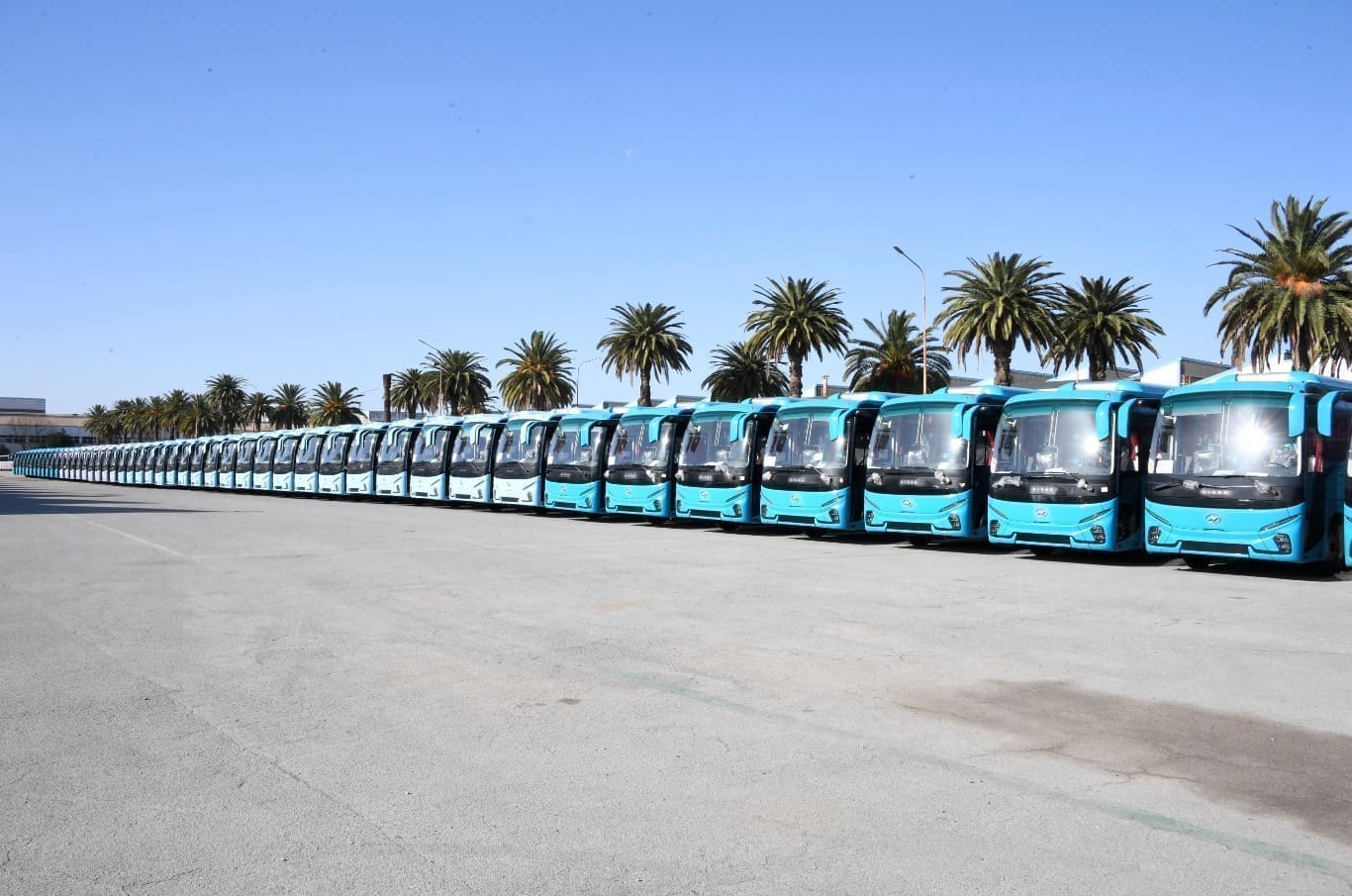 La livraison des bus importés démarre : première vague de 908 unités distribuées [IMAGES]