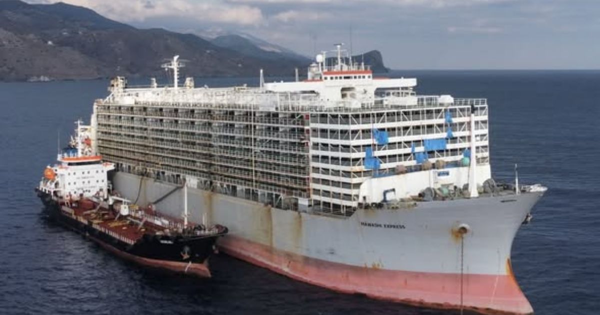 82 500 moutons : l'un des plus grands navires bétaillers au monde s ...