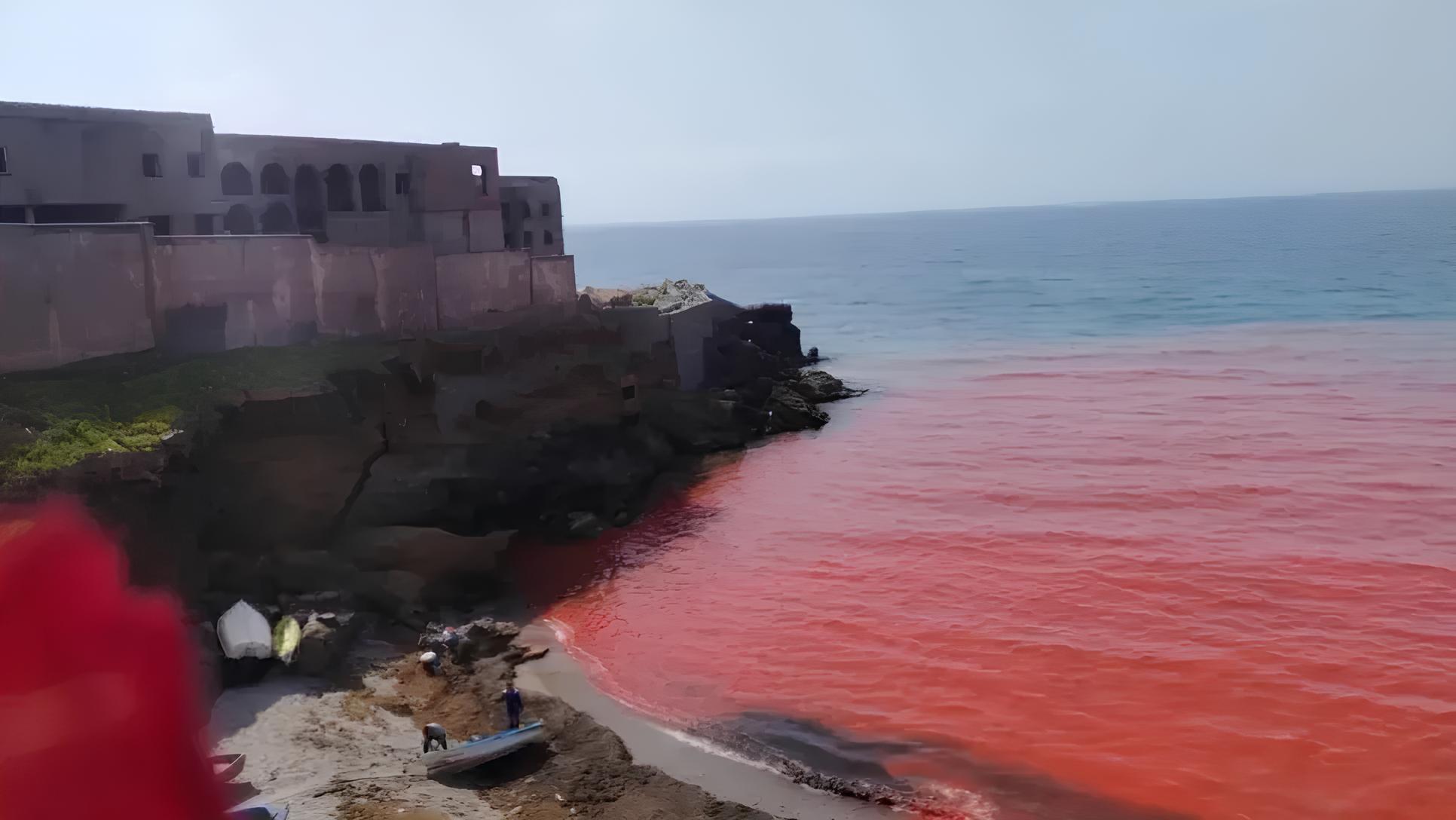 Mystérieuse eau rouge au large d’Alger : où en est l’enquête sur la plage du Cimetière Aïn Benian ?