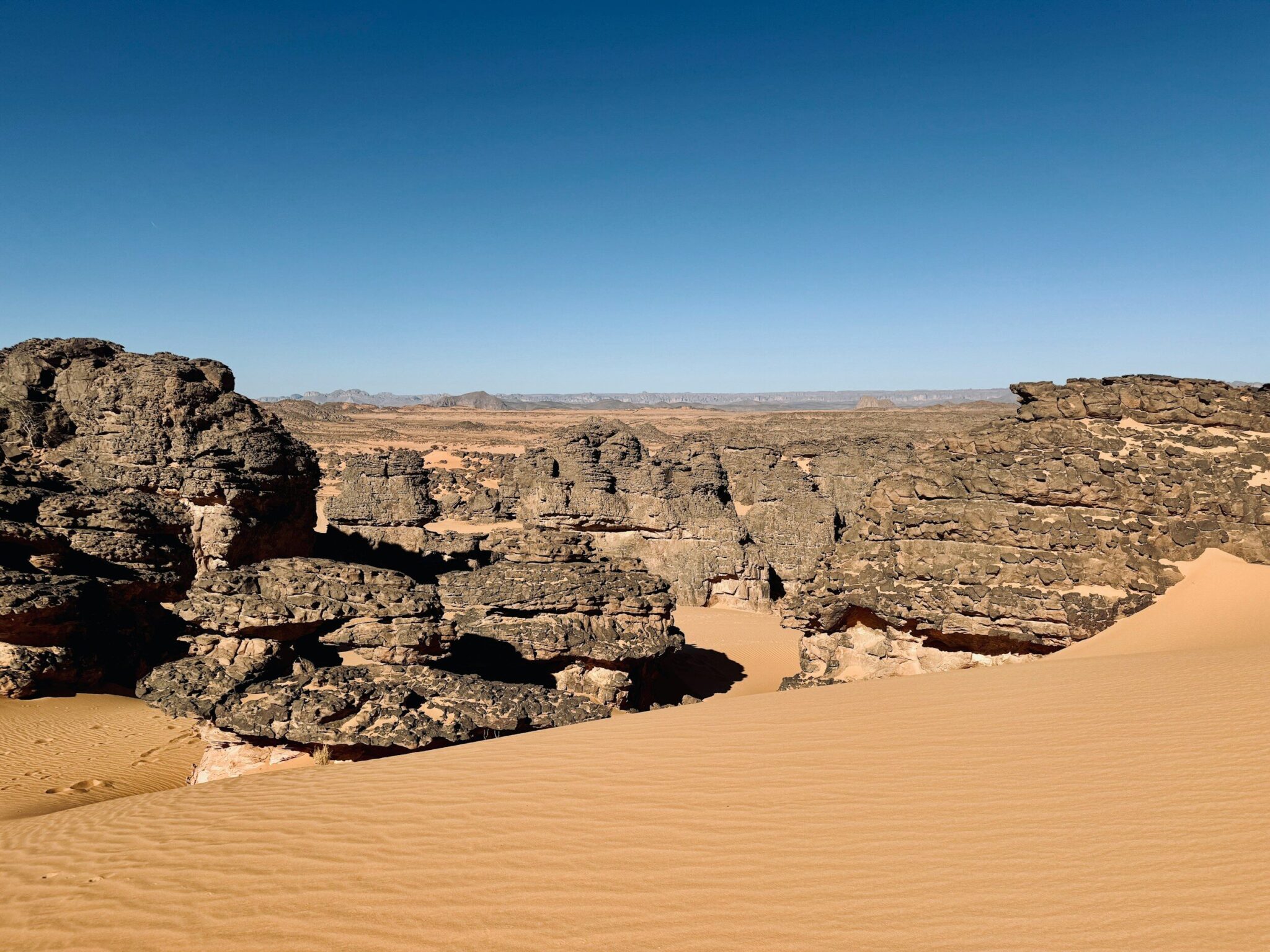 Le Tassili n’Ajjer séduit l’OPEC : ce trésor algérien dévoile les secrets d’un Sahara vert