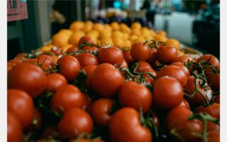 Tempête de prix sur les marchés : les tomates au plus bas depuis avril