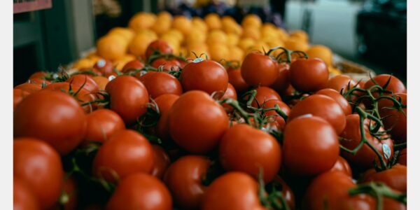 Tempête de prix sur les marchés : les tomates au plus bas depuis avril