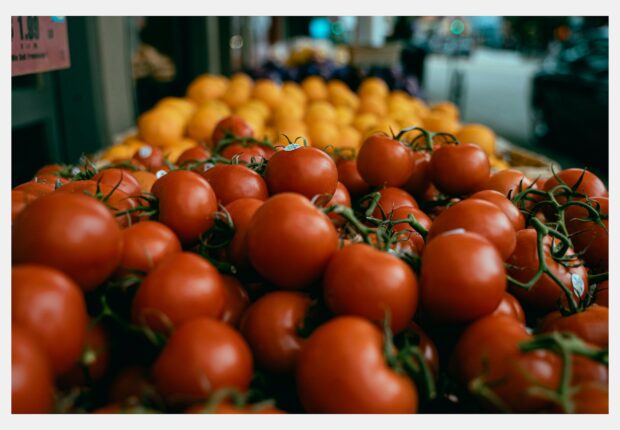 Tempête de prix sur les marchés : les tomates au plus bas depuis avril