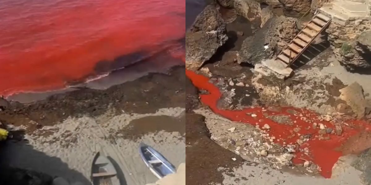 Pollution à la plage du Cimetière d’Aïn Bénian : une enquête urgente ouverte