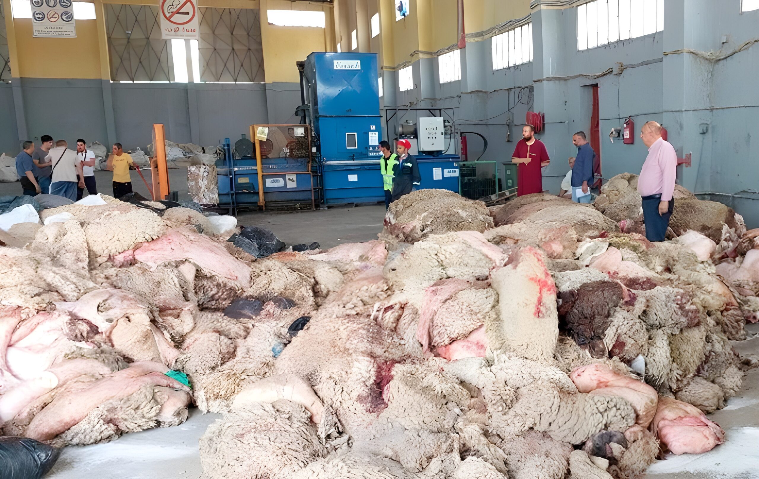 Aïd El-Adha : ne jetez plus vos peaux de mouton, elles valent de l’or pour l’économie