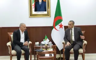 Énergie : l’Algérie et l’Égypte renforcent un partenariat stratégique majeur pour l’Afrique