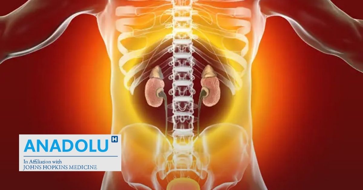 Analyse d'urine : le détail qui trahit la présence d'une glomérulonéphrite